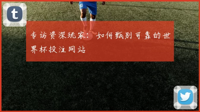 专访资深玩家：如何甄别可靠的世界杯投注网站
