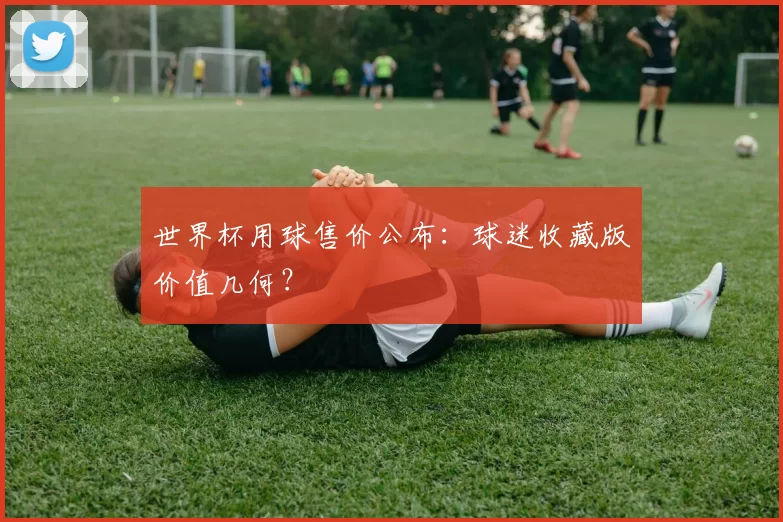 世界杯用球售价公布：球迷收藏版价值几何？