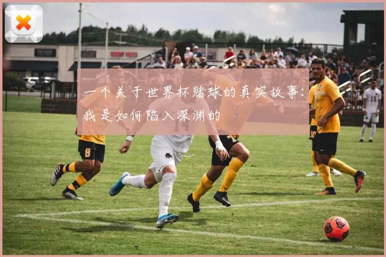 一个关于世界杯赌球的真实故事：我是如何陷入深渊的