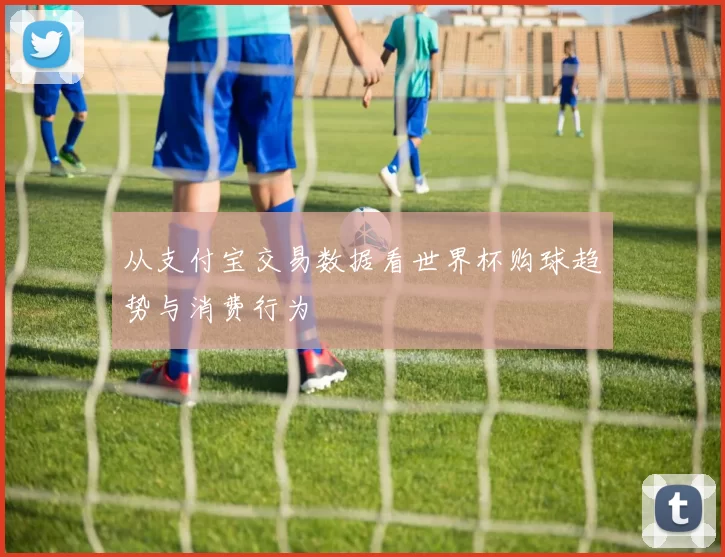 从支付宝交易数据看世界杯购球趋势与消费行为