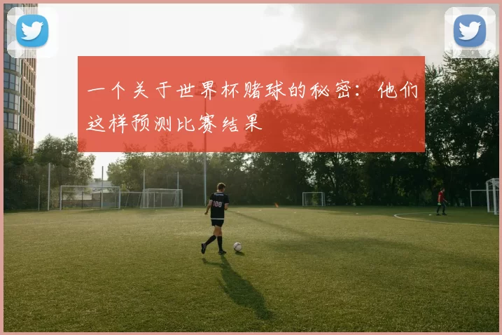 一个关于世界杯赌球的秘密：他们这样预测比赛结果