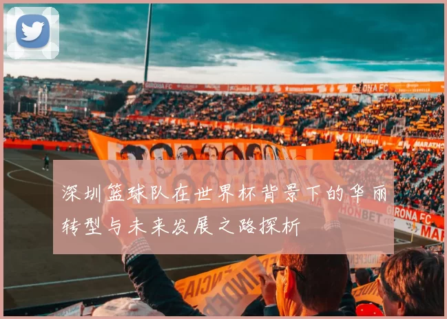 深圳篮球队在世界杯背景下的华丽转型与未来发展之路探析