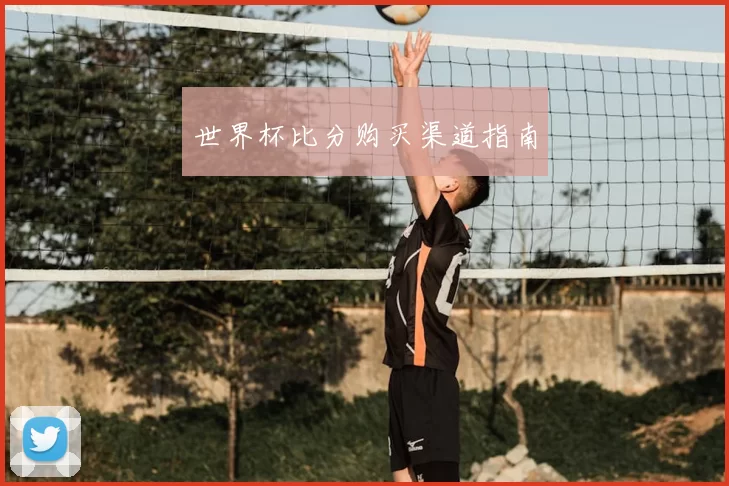 世界杯比分购买渠道指南