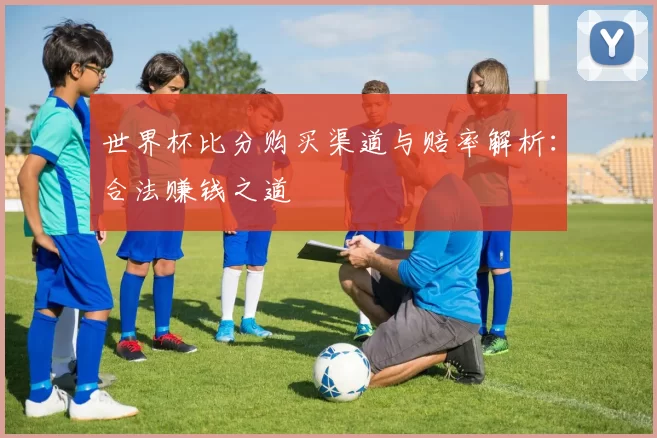 世界杯比分购买渠道与赔率解析:合法赚钱之道