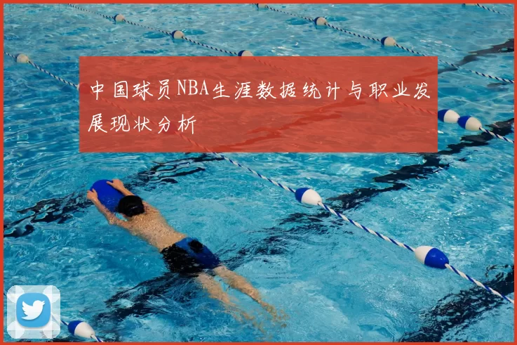 中国球员NBA生涯数据统计与职业发展现状分析