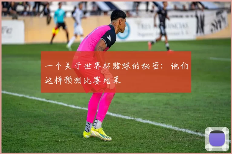 一个关于世界杯赌球的秘密:他们这样预测比赛结果