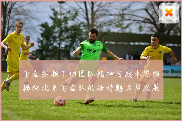 飞盘热潮下的团队精神与战术思维揭秘北京飞盘队的独特魅力与发展之路