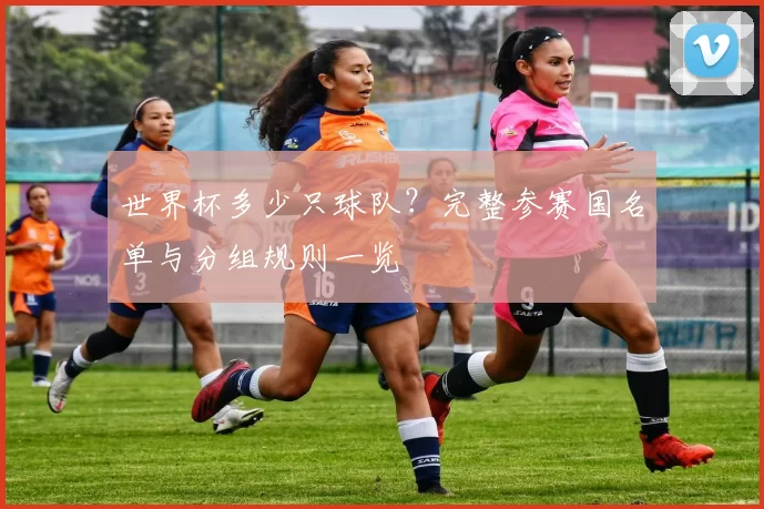 世界杯多少只球队?完整参赛国名单与分组规则一览