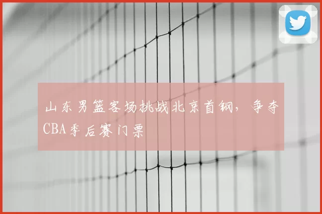 山东男篮客场挑战北京首钢，争夺CBA季后赛门票