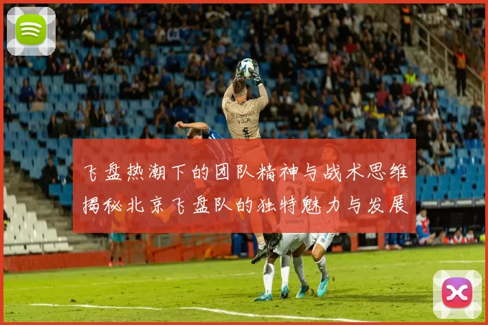 飞盘热潮下的团队精神与战术思维揭秘北京飞盘队的独特魅力与发展之路